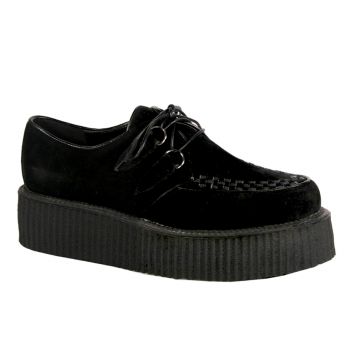 Low Shoes V-CREEPER-502S - Suede Black*